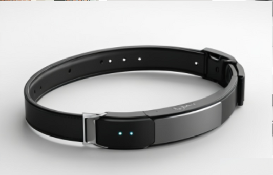 Buddi Smart Collar